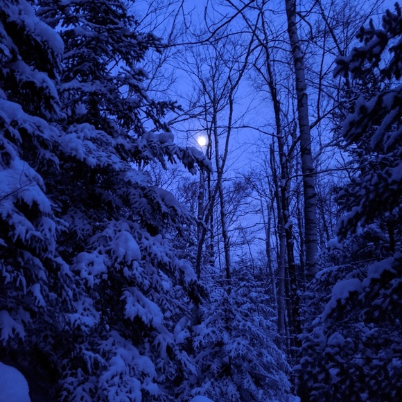 Meet your Posher, S - Picture 1 of 1